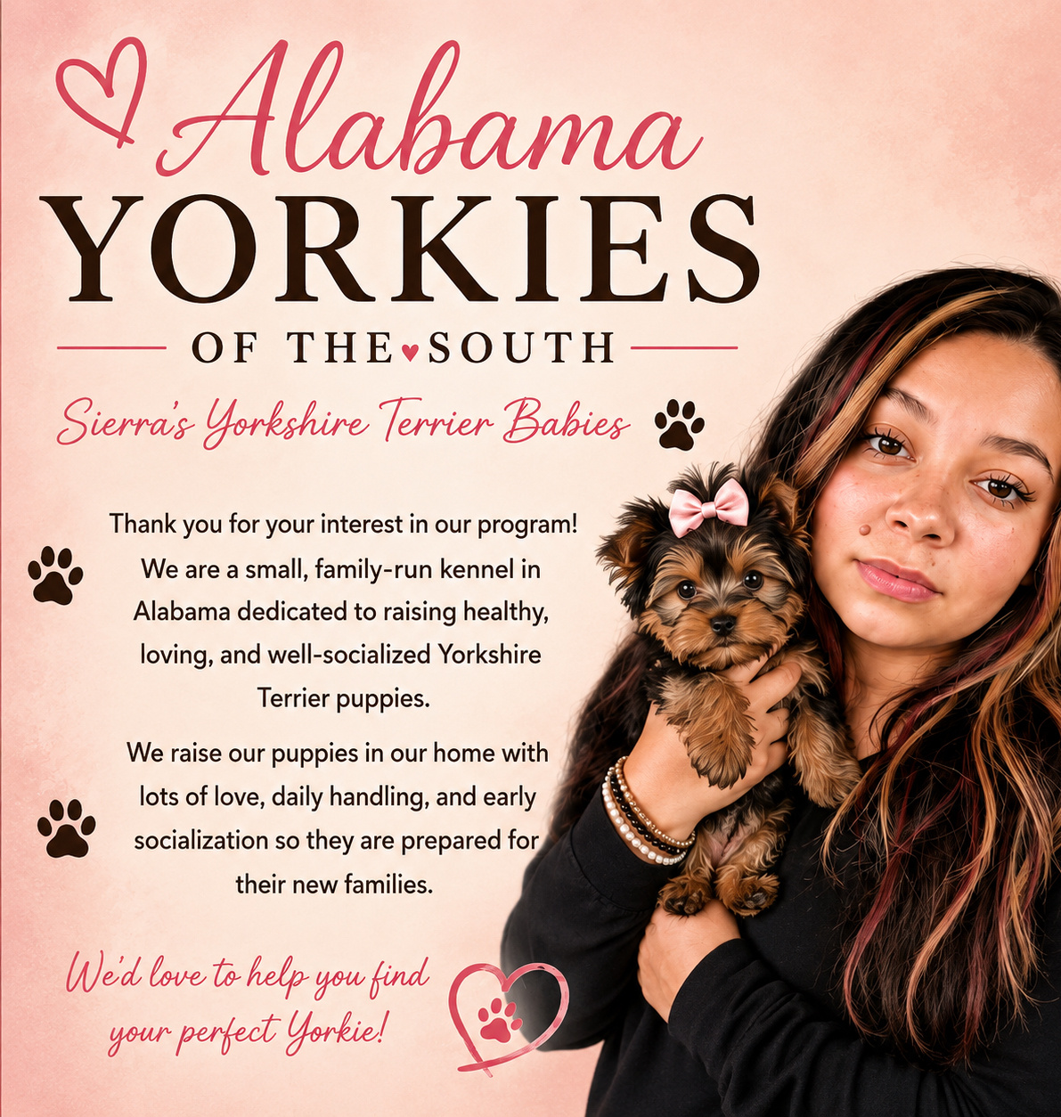 Sierra’s Yorkshire Terrier Babies