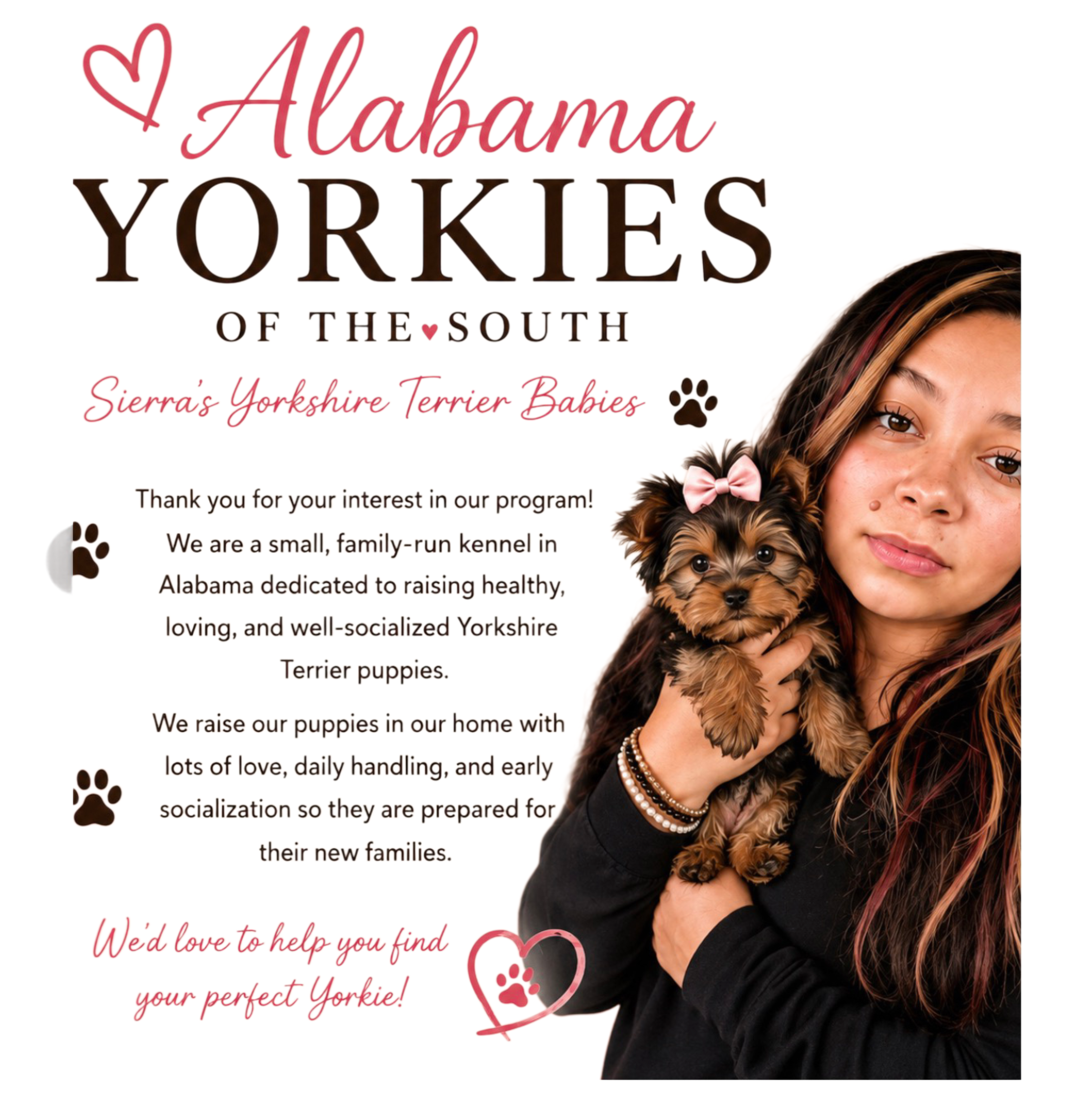 Sierra’s Yorkshire Terrier Babies